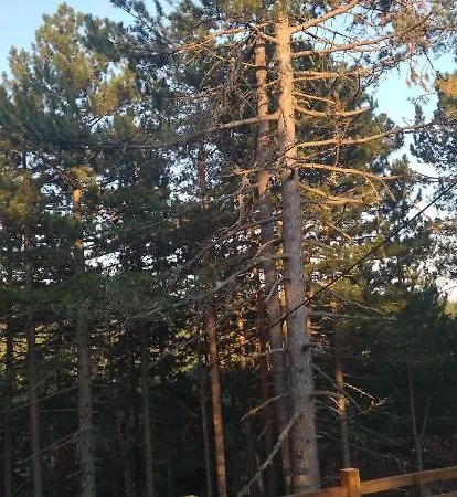 Nikolija 2 Appartement