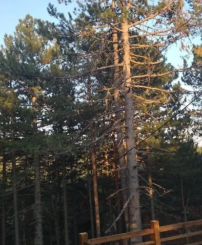 Nikolija 2 Appartement